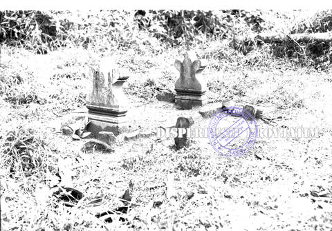 Original Digital object not accessible