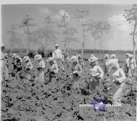 Original Objek Digital not accessible