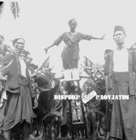 Foto bersama, seorang joki tengah berdiri diatas pasangan sapi kerapan no urut 1 dalam lomba kera...