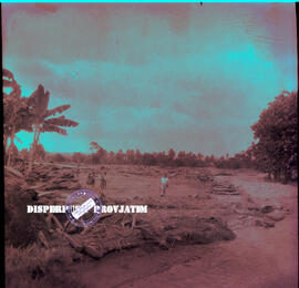 Banjir bandang yang melanda persawahan / lahan pertanian pada bencana alam banjir di Jember, 13 –...