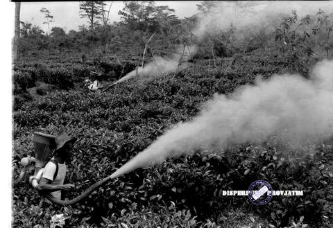 Original Objek Digital not accessible