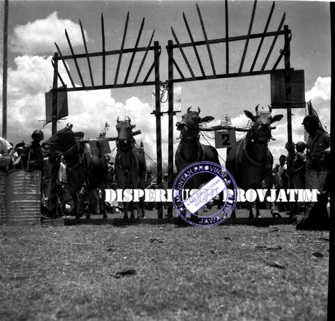 Original Objek Digital not accessible