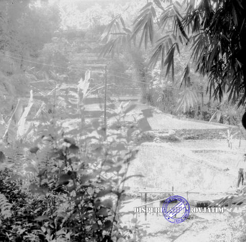 Original Objek Digital not accessible