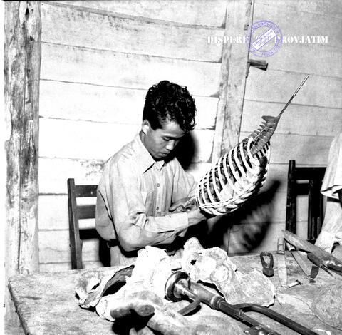 Original Digital object not accessible