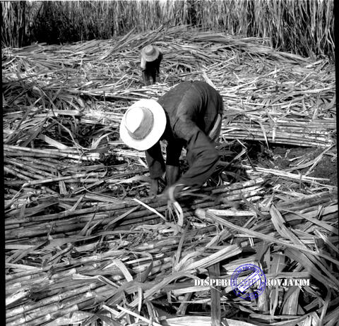 Original Objek Digital not accessible