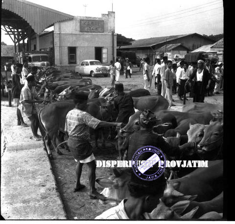 Original Objek Digital not accessible