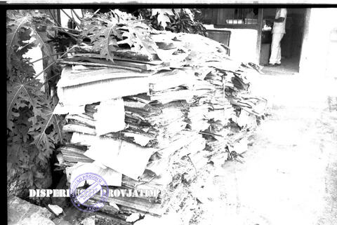 Original Digital object not accessible