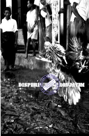 Original Digital object not accessible