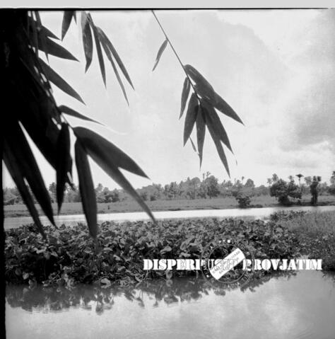 Original Objek Digital not accessible