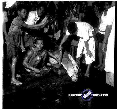 Original Digital object not accessible