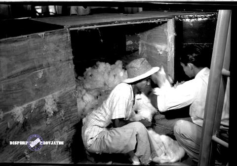 Original Digital object not accessible