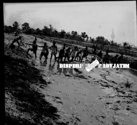 Original Digital object not accessible