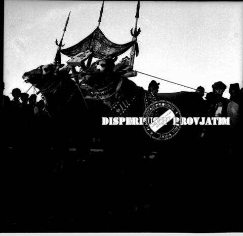 Original Digital object not accessible