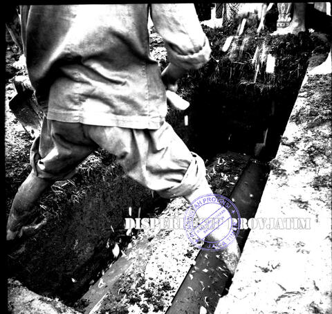 Original Objek Digital not accessible