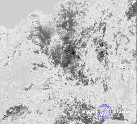 Original Digital object not accessible