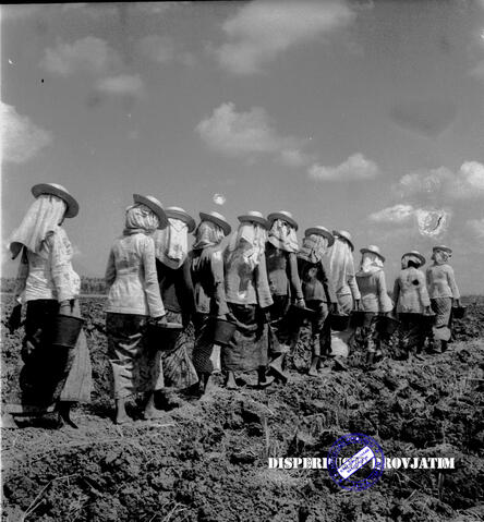 Original Objek Digital not accessible