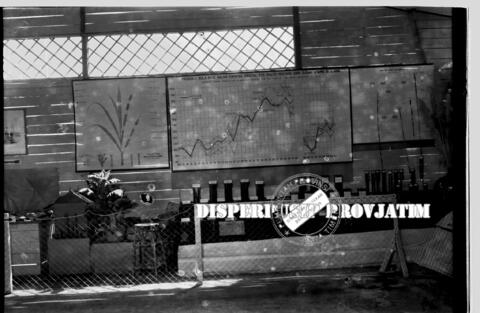 Original Objek Digital not accessible