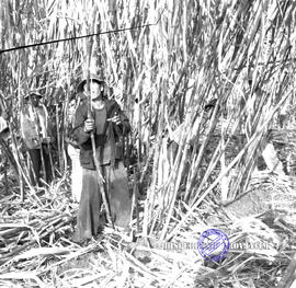 Pembangunan ke Djabung (Tumpang) Malang, tgl. 23 Maret 1957.