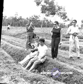 Angkatan XII Banjarsari Jember. Kegiatan diperkebunan karet, tgl. 9 Maret 1968