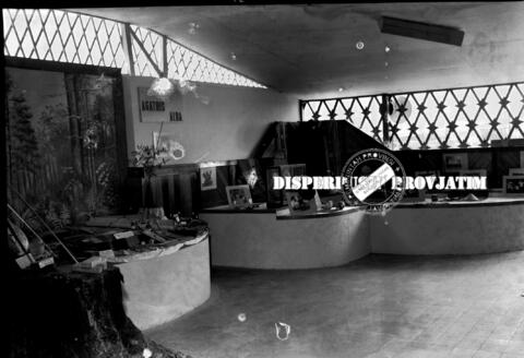 Original Digital object not accessible