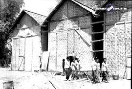 Perkebunan di Bojonegoro, penjemuran daun tembakau, tgl. 14-11-1957