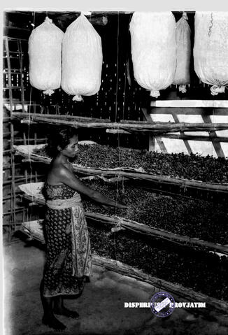 Original Objek Digital not accessible