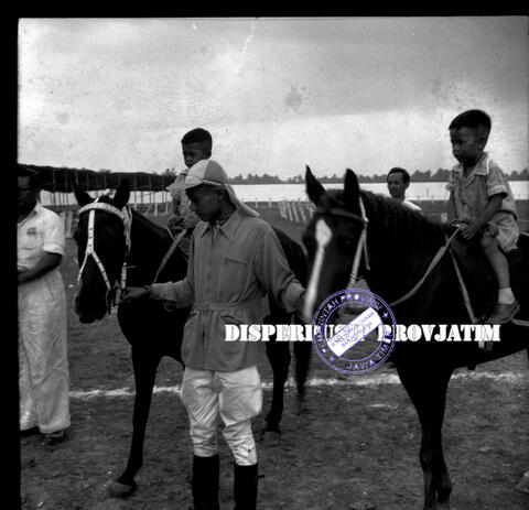 Original Digital object not accessible