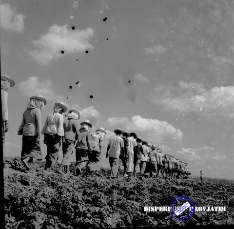 Original Objek Digital not accessible