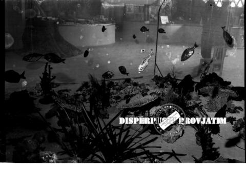 Original Objek Digital not accessible