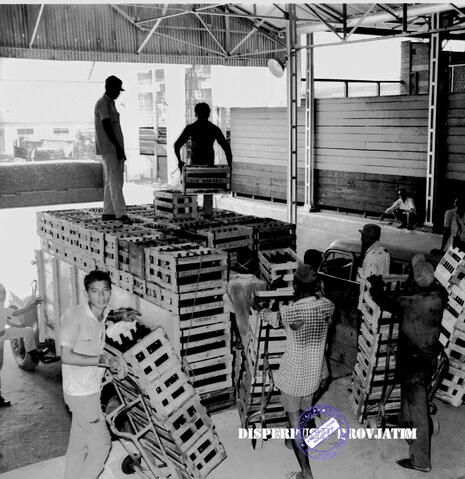 Original Digital object not accessible