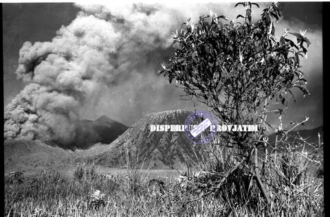 Original Objek Digital not accessible