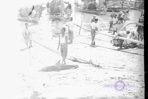 Original Digital object not accessible