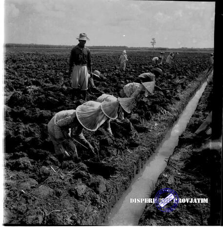 Original Objek Digital not accessible