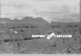 Lahan pertanian semeru selatan Lumajang, 25 – 5 - 1956